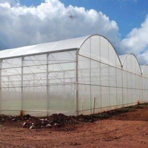 Metallic Greenhouse 240 Sqm (8x30M)