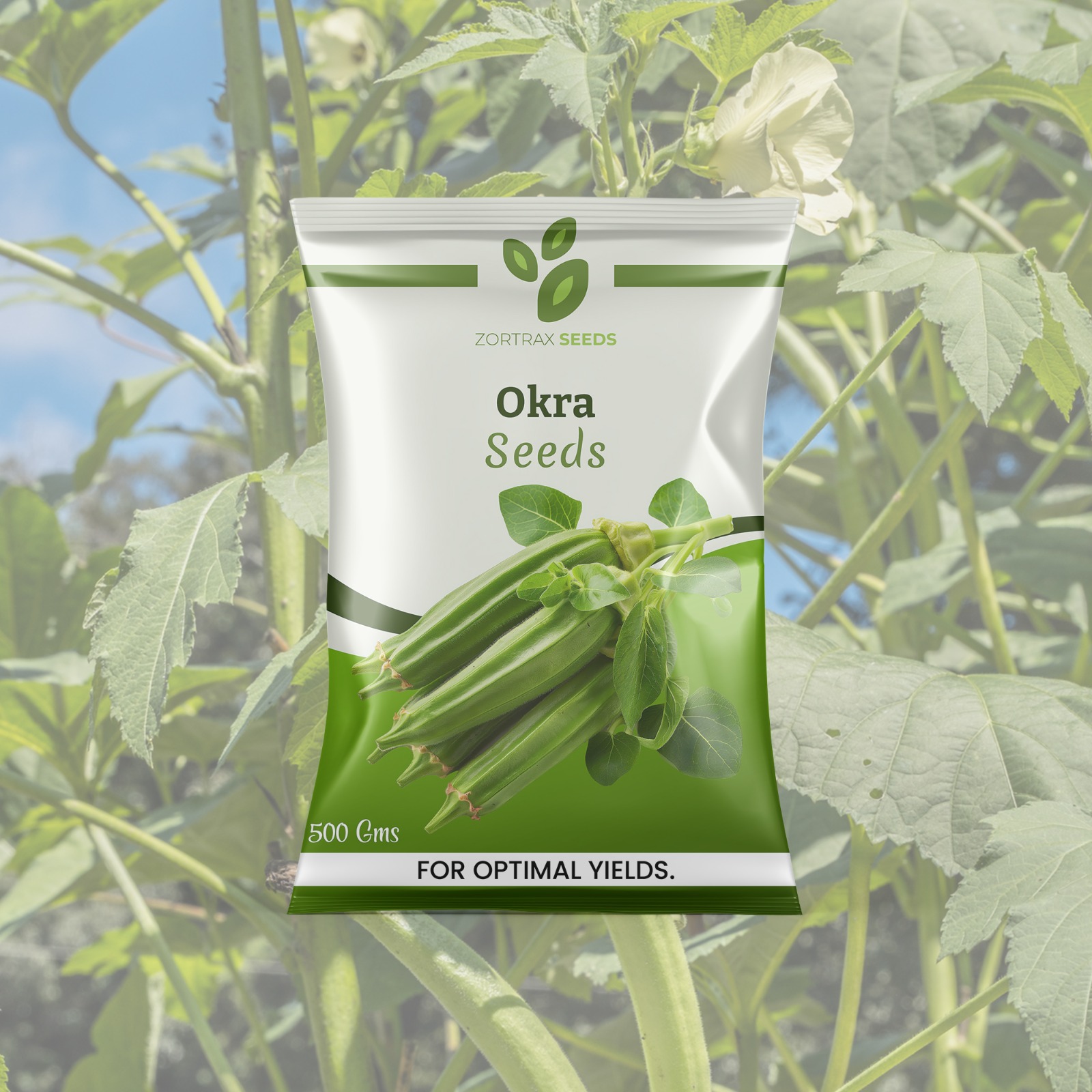 WhatsApp Image 2024-12-16 at 17.19.18