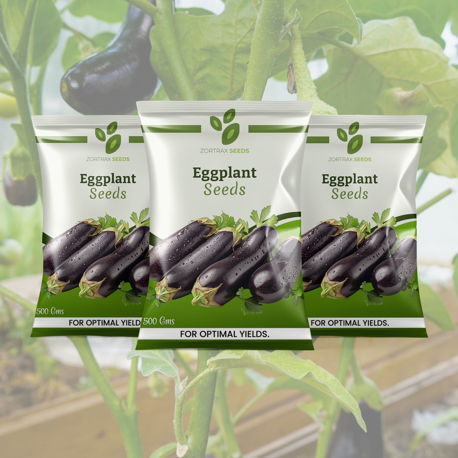 WhatsApp Image 2024-12-16 at 17.19.22 (2)