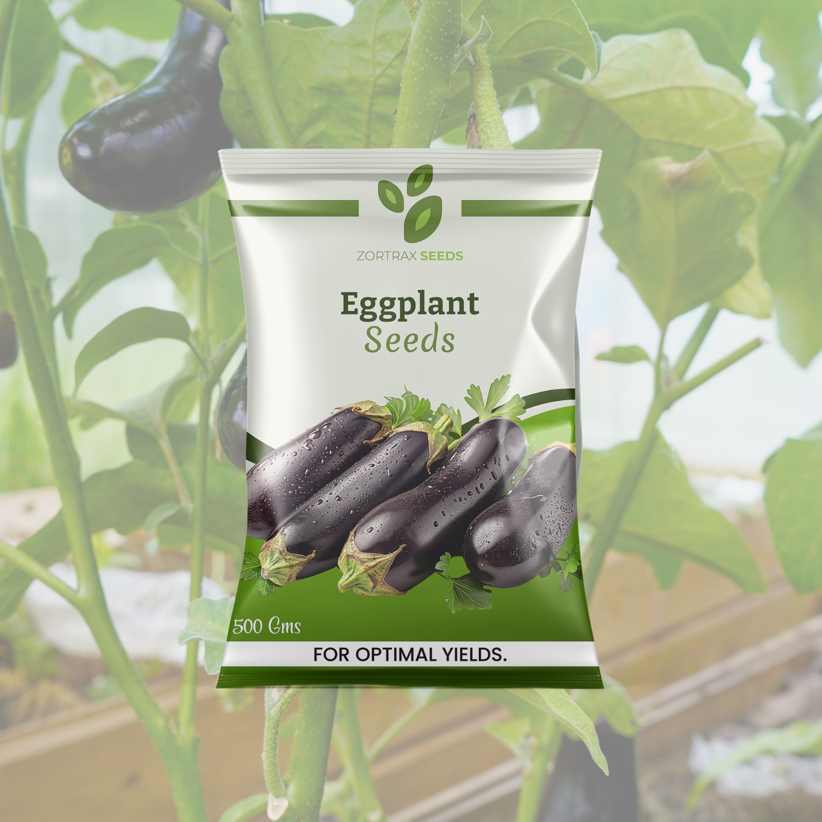 WhatsApp Image 2024-12-16 at 17.19.23