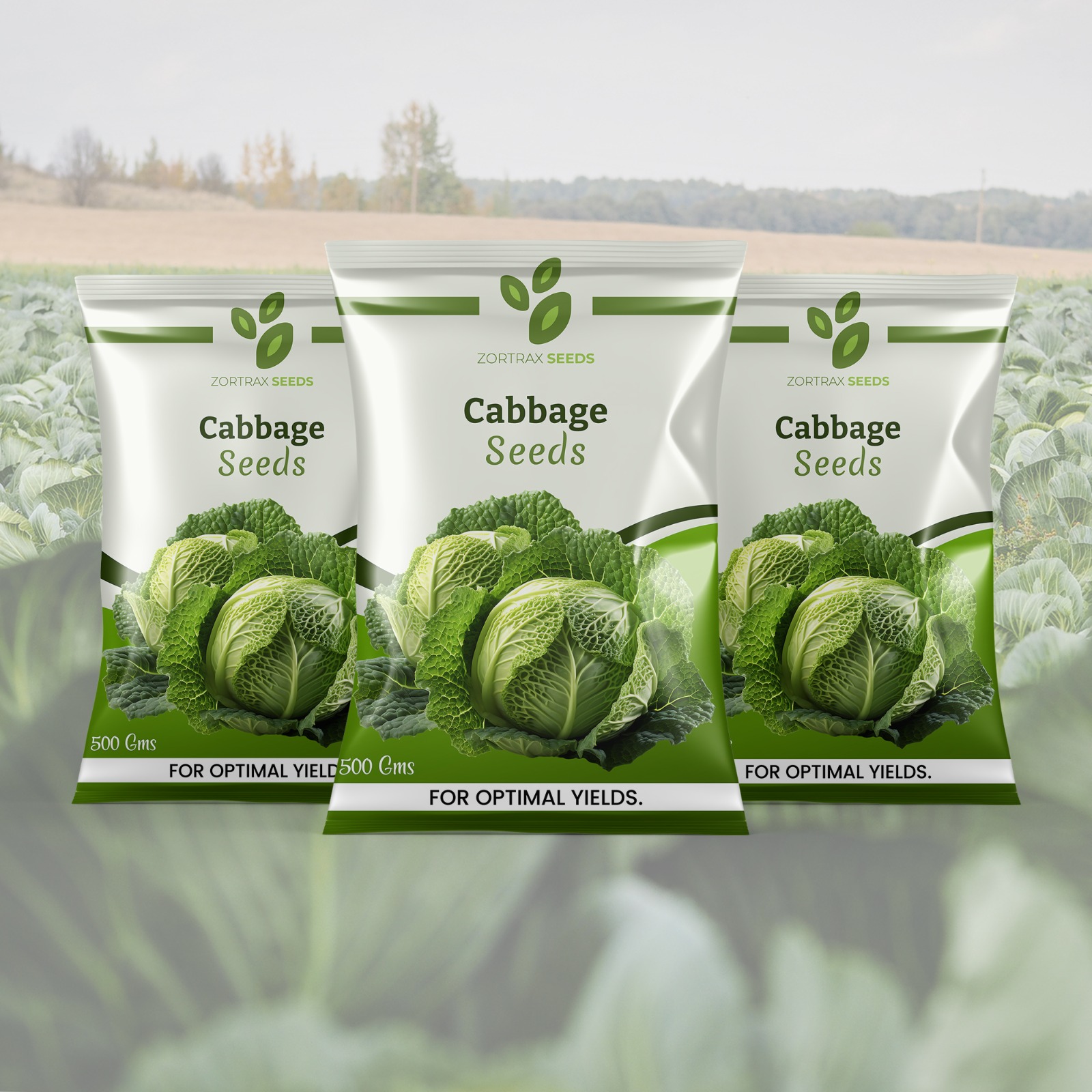 WhatsApp Image 2024-12-16 at 17.19.27